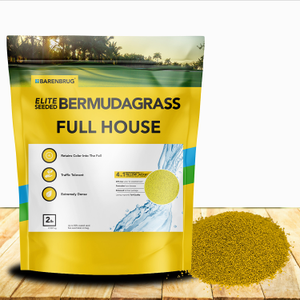 Full House Monaco & Hollywood Drought Tolerant Bermuda Grass Seed