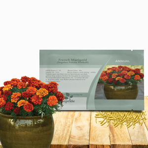 Tagetes Patula French Marigold Fireball Plant Flower Seeds