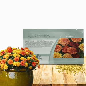 French Marigold Flower Seeds - Tagetes Patula Strawberry Blonde
