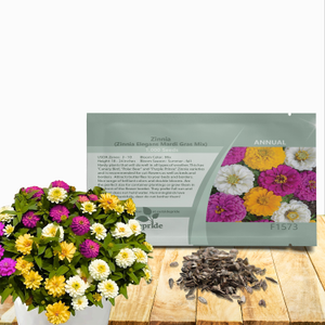 Zinnia Elegans Mardi Gras Flower Seed Mix
