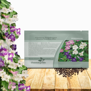 Climbing Snapdragon Asarina Flower Seed Mix