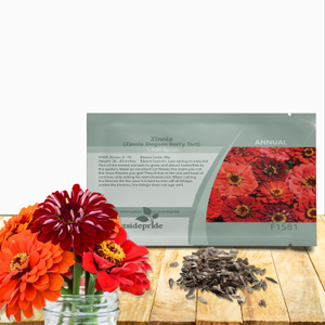 Zinnia Elegans Berry Tart Flower Seed Cut Flower Mix