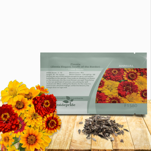 Zinnia Elegans South of the Border Red, Yellow, Bicolor Flower Seeds