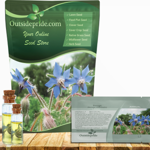 Heirloom Borage Herb Seeds For Microgreens or Sprouting