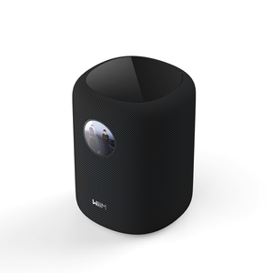 Nearly New - WiiM Sound Smart Speaker - Black