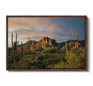 Superstition Mountains And Cactus