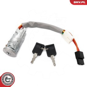 Steering Lock