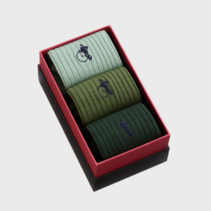 Simply Olive, 3-Pair Box Lisle Cotton Socks