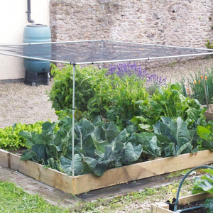 Vegetable cage starter kit