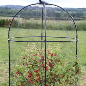 Steel round fruit cage