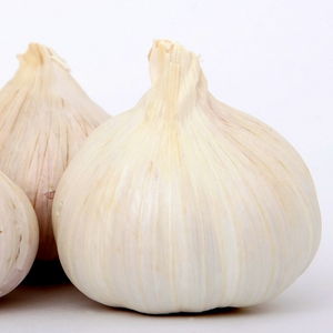 garlic Cristo