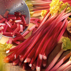rhubarb Victoria