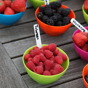 raspberry Tulameen