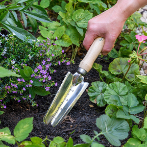 RHS Burgon and Ball weeding trowel