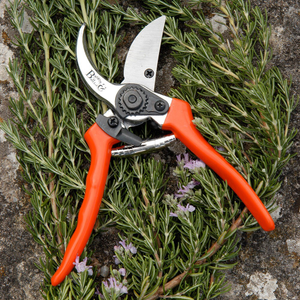 RHS Burgon and Ball bypass secateurs