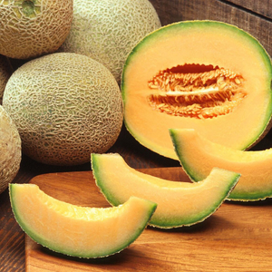melon Charentais