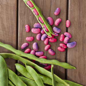 bean (runner) Scarlet Emperor
