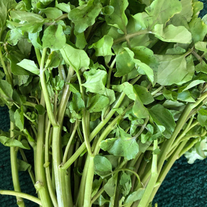 watercress 