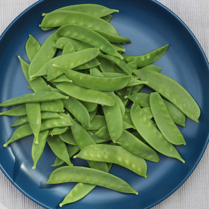 pea Oregon Sugar Pod