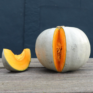 squash Crown Prince F1