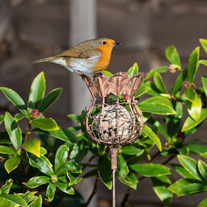 Poppy seed head fat snax feeder - rust