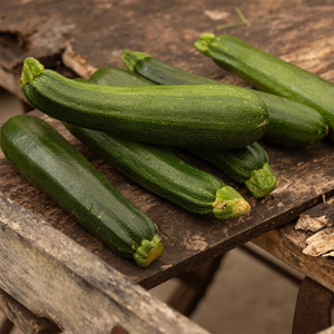 courgette Defender F1