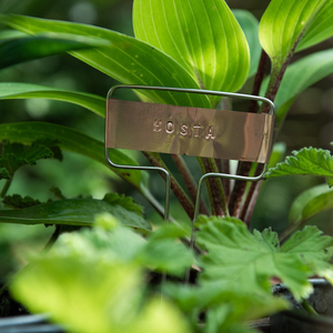 Plant labels stamp set