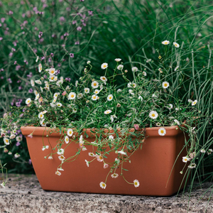 Roma Italian terracotta trough