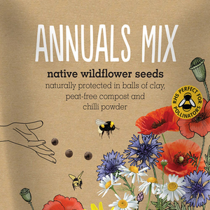 Seedballs native annual wildflowers seedbombs