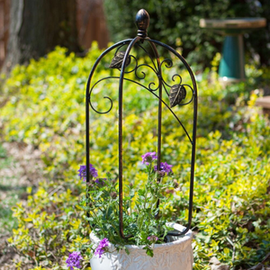 Scroll and ivy mini pot trellis - black/bronze
