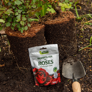 Empathy biofertiliser for roses