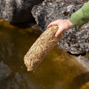 Pond clear Barley straw