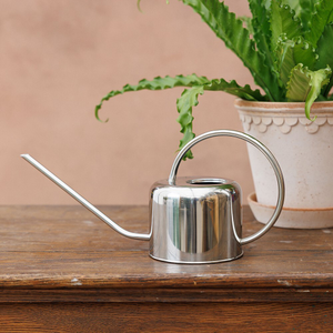 Indoor stainless steel watering can