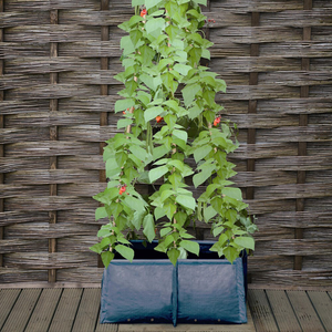 Pea and bean patio planter