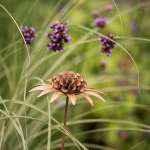 Scabiosa 'deadhead' stake - rust