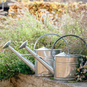 Zinc watering can