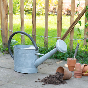 Galvanised steel watering can