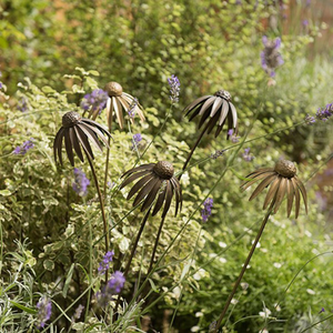 Echinacea plant stake - antique brass