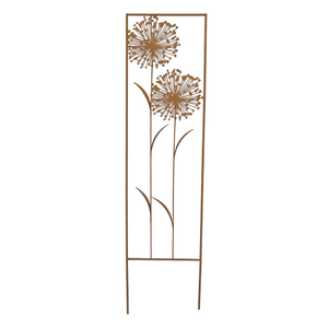 Allium trellis - rust