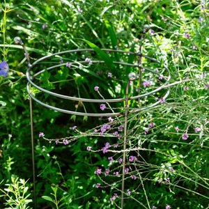 Double ring dahlia plant support - rust