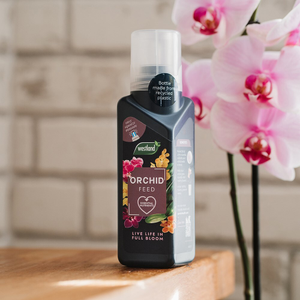 Orchid feed