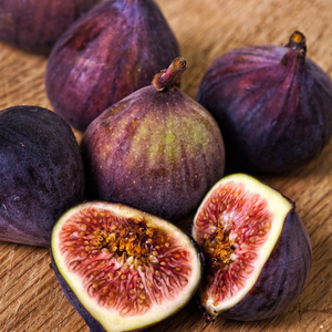 Ficus carica Dauphine