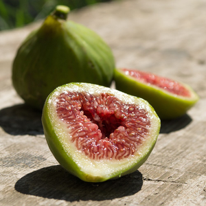 Ficus carica Dalmatie