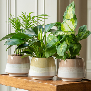 Stoneware reactive glaze planter - pink