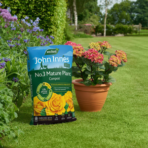 John Innes peat-free no.3 mature plant compost