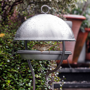Stake bird feeding dome - brushed aluminium