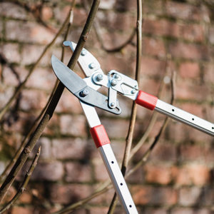 Darlac telescopic ratchet lopper