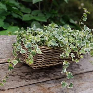Rattan balcony basket planter