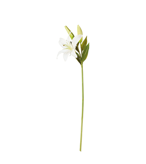 Faux Casablanca Lily Stem