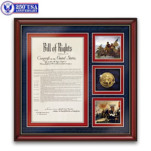 Bill Of Rights Wall Decor